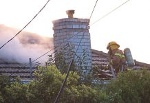 Have you cleaned your chimney flue this winter?