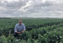 PALM pain with reforms