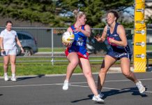 Bulldogs, Wildcats meet in preliminary final