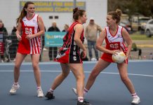 Swans on the big stage