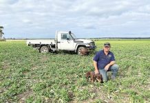 Young farmer focus at the Gippsland Red Meat Conference