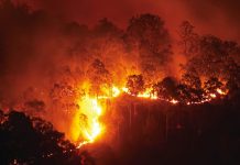 Bushfire management control under review