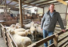 NeXgen Agri advice workshops