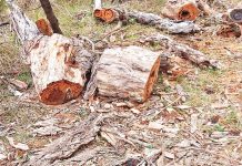 Latrobe Valley consultant criticises Great Outdoors Taskforce panel