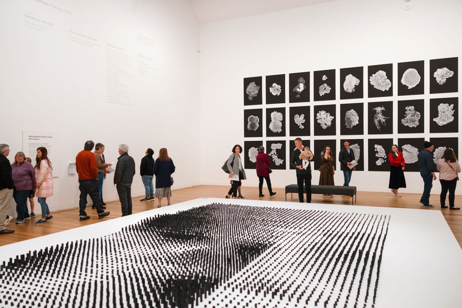 Gippsland Art Gallery presents Park Dream Gippsland Times