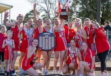 Sensational Swans hit peak