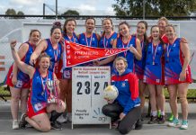 Reigning Cats and Dogs