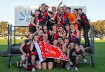 Wildcats fall short in maiden Grand Final