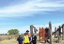 New Gippsland Plains Rail Trail renovation