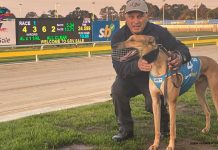 Hazelwood trainer hooked on Sale