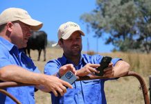 Farmers sought to test digital safety solutions