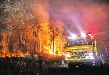 Victorians can expect a drier and warmer spring