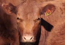 New Sustainability Steering Group members appointed