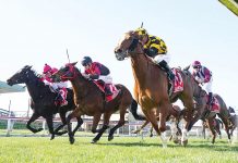 Revving up for racing season