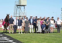 Maktoob prevails at Sale Cup
