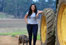 Concerns over land tax