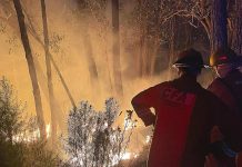 CFA says Gippsland fires show early start to season