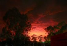 Driving in fire must be avoided