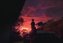 Fire and flood photos (from October 13 2023 issue)