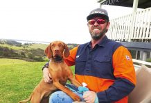 Adorable dogs trained to avoid snakes