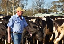 Craig Fletcher from Meerlieu talks dairy farm challenges