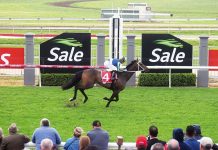 Stage set for another great Sale Cup