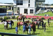 Callers left guessing