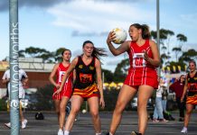 Best in netty business