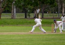 Bowlers going in for the kill to start Day 2 action