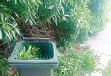 Letters to the Editor – October 24 2023