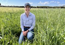 Helping make informed decisions