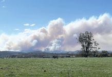 Bushfires hit Gippsland
