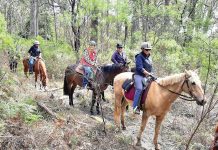 Tambo Upper’s monthly ride this Sunday