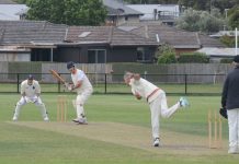 Goannas get over the line late