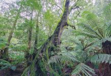 Supporting community organisations