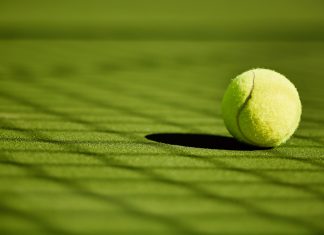 WGTA down to the final four