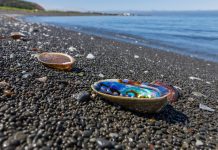 Sustaining the abalone industry