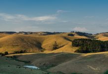 Helping hand in disaster recovery