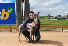 Local trainer claims first win in Warrnambool