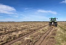 Strathfieldsaye Estate’s 350,000 trees