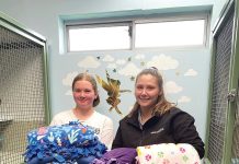 Animal Aid cats to be warm thanks to donated blankets