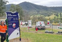 Dargo Transfer Station’s Christmas joy