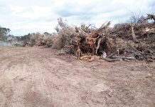 Loch Sport potential fire hazard cleared