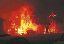 Cuts to bushfire services criticised