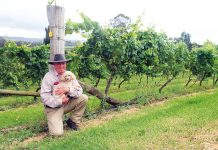 New Cellar Door is Wide Open