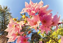 Reader Gallery – January 19 2023