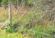 Letters to the Editor – 23 January 2023