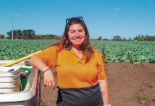 Stefan Bradley’s Best Stories of 2023