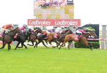 Gippsland locals lead at Sale Turf Club