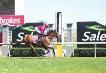 Thrilling action from start to finish